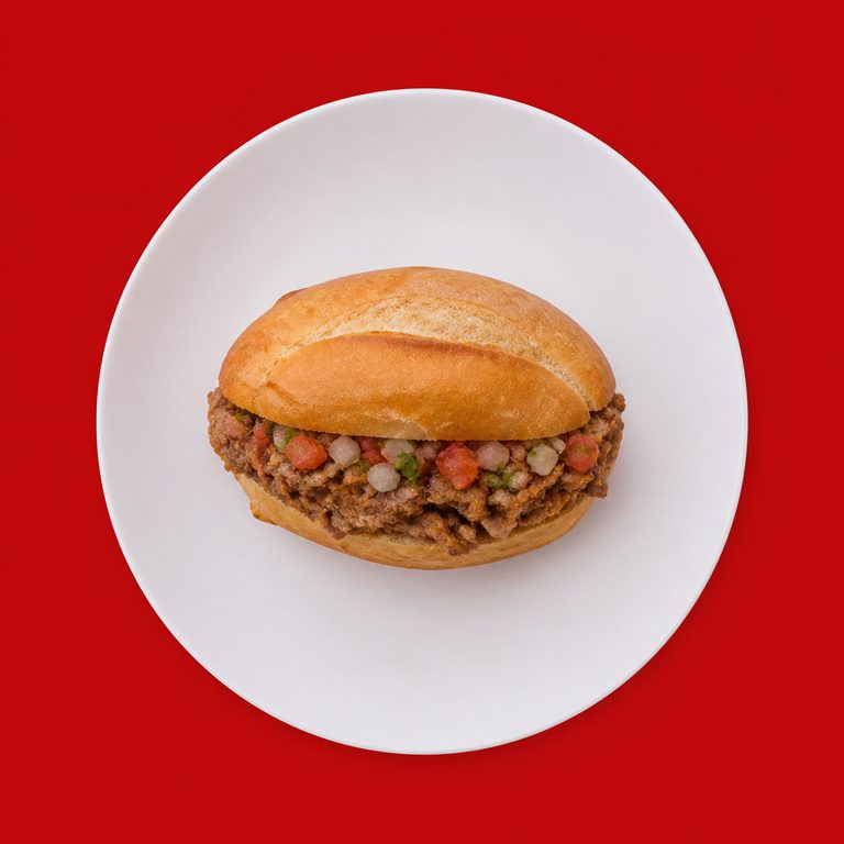 Sanduíche de Carne em prato branco, fotografia de cima com fundo colorido